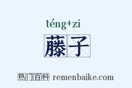 藤子是什么意思的图片